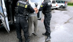 Policjanci wsadzają do dużego radiowozu zatrzymanego mężczyznę posiadającego założone kajdanki na ręce trzymane z tyłu