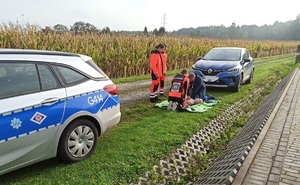 Zdjęcie uczennice przy fantomie prezentują kierowcy udzielanie pierwszej pomocy