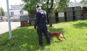 Służby podczas ćwiczeń na terenie firmy Grupa Kęty