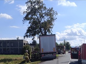 Uszkodzony tir uderzył w drzewo