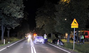 Na jezdni uszkodzone pojazdy, wozy służb w tle
