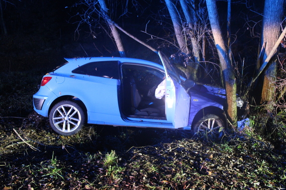 Samochód przy drzewach