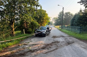 Na zdjęciu uszkodzony samochód na drodze obok drzewa