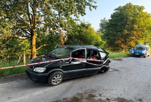 Na zdjęciu uszkodzony samochód na drodze obok drzewa