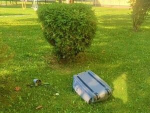 Na zdjęciu trawnik na którym leżą walizka i doniczka